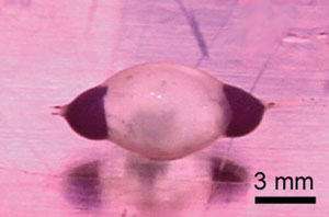 Micro-spherical heart-like pump