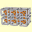 Host-guest network