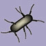A bacterium with a reduced number of pili on the surface