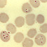 Antimalarial drug