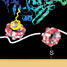 Immobilisation of molecules on gold electrode