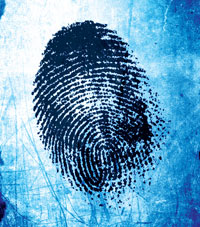 Fingerprint