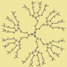Structure of dendrimer