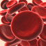 Red blood cells