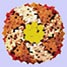 An apoferritin protein