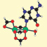 Guanine bound dirhodium complex
