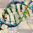 Analysing genes with a microfluidic processor