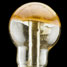 The cured soy bean gel in a round bottom flask