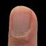 A fingernail
