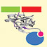 Semisynthesis of a protein