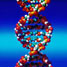 DNA helix