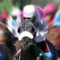 Horseracing