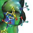 A computer simulation of a fatty acid amide hydrolase inhibitor binding to the enzyme