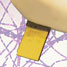 The bacterium-sensing chip