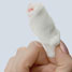 Bandaged finger