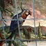 Reverse-glass painting