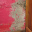 mould on a wall