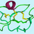 A cyclotide showing three disulfide bonds