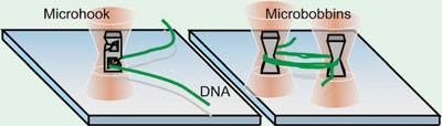 tiny hook and bobbins holding DNA strands