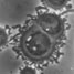 Image of a healthy cell