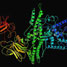 Structure of Botulinum neurotoxin A