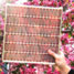 Dye-sensitised solar cell