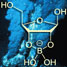 A ribose-borate complex and a hydrothermal vent in the ocean