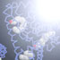 Serum albumin