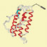 A protein made by native chemical ligation