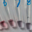 Gold nanoprobes