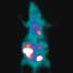 myocardial image of a rat