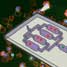 CD4+ T-cell counting microchip