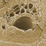 Porous hydroxyapatite scaffolds