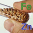 test tube with grains