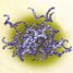 A tau protein clump