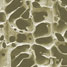 scaffold for tissue engineering