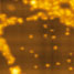Silver-gold nanoparticles on a DNA network