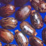 Castor beans