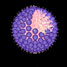 A polymer-protein micelle