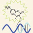 fluorescent probe