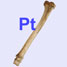 bone with Pt
