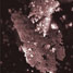 Colloids