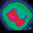 Raman image