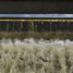 Wastewater