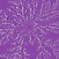 Fractal pattern