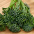Broccoli sprouts