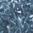 Carbon nanotube composite