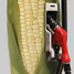 Corn fuel