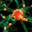 Chemical toolbox brain nerve study