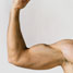 Human muscle